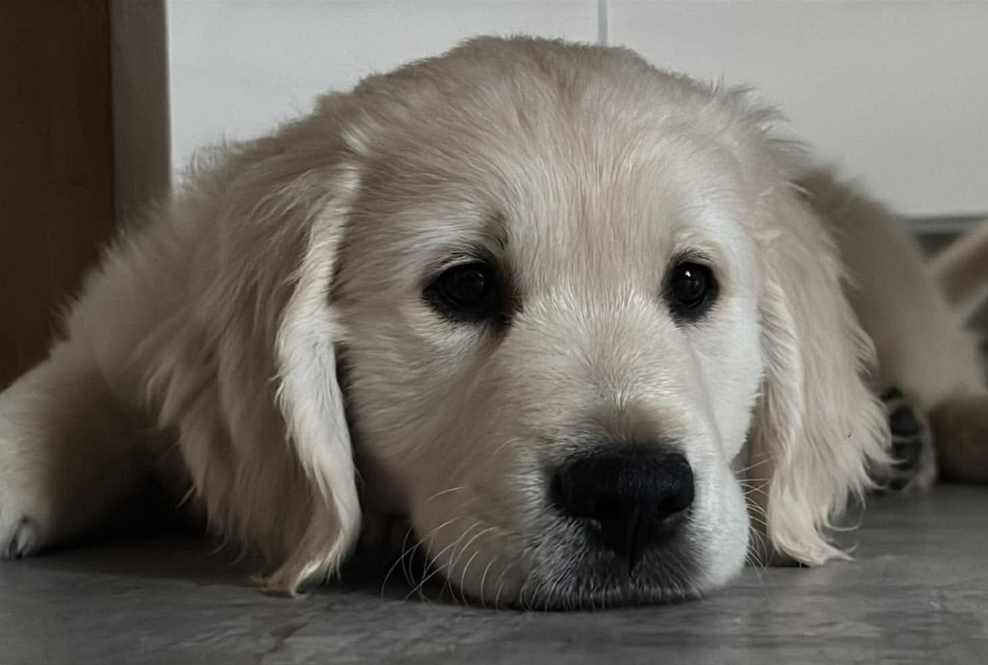 Les bb de Romy et Max